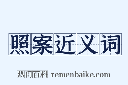 照案近义词是什么意思的图片